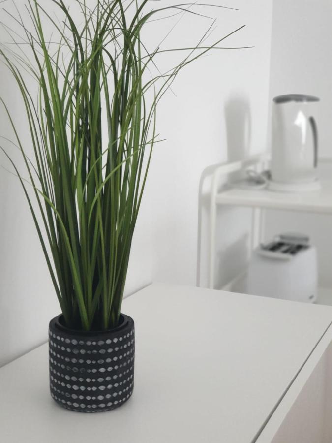 Palmeira Comfort อาเวโร ภายนอก รูปภาพ